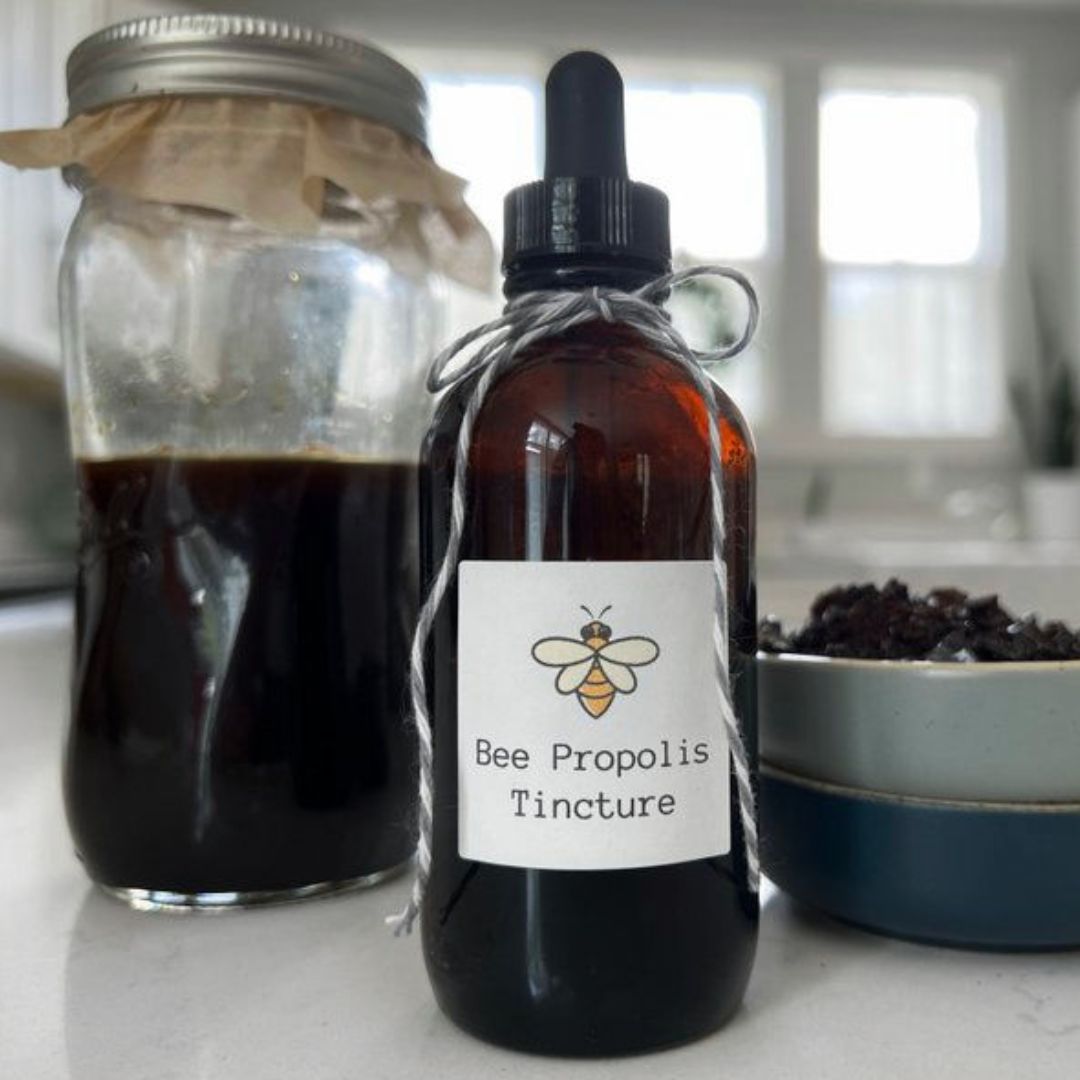 O Ouro Negro das Abelhas: 7 Benefícios do Própolis que Vão Blindar sua Saúde